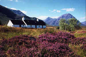 glencoe